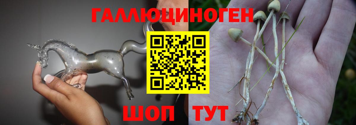 Губкинский  хочу   Вход с VPN  Псилоцибиновые грибы мухоморы 